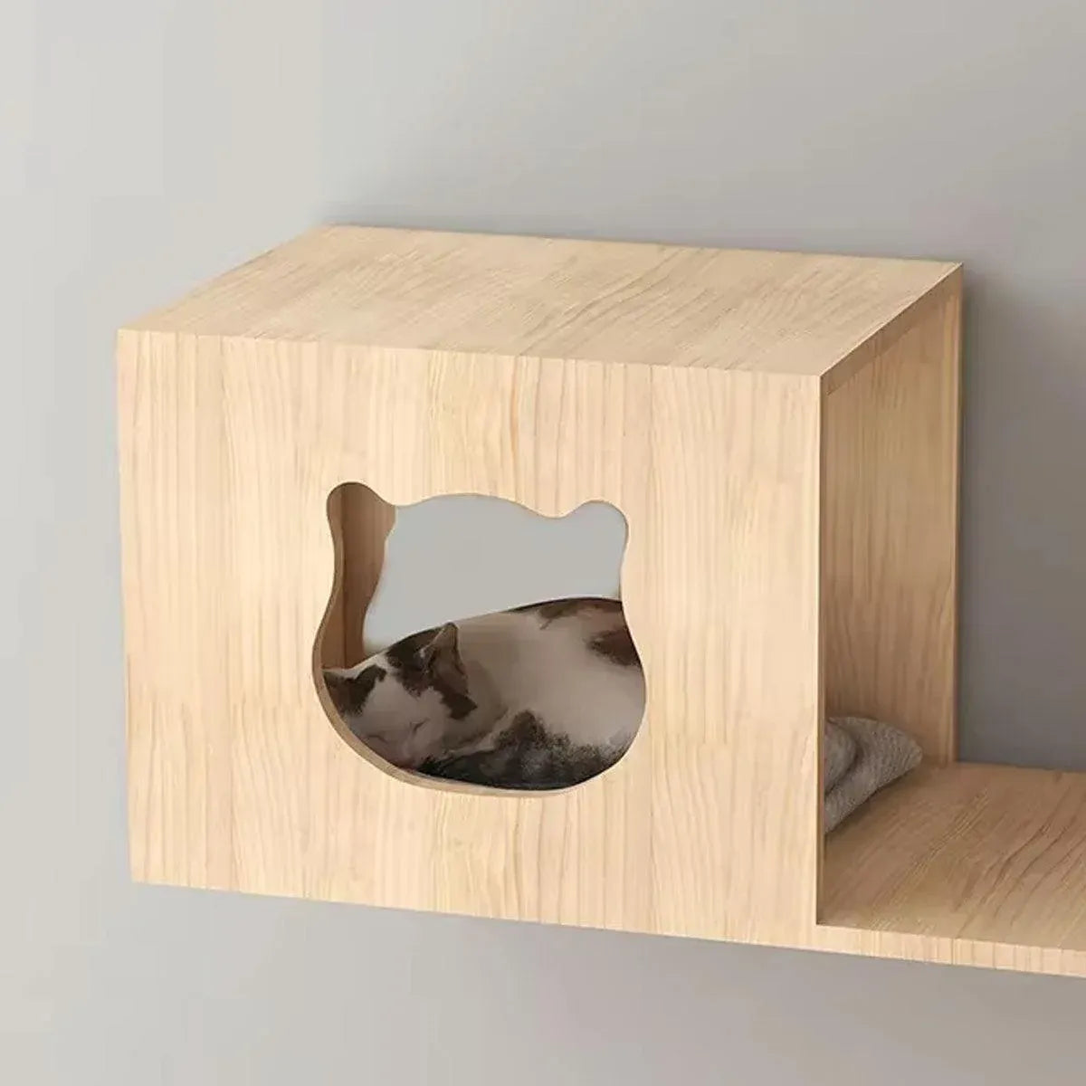 Wall-Mounted Wooden Cat Climbing Set with Bridge & Hideout