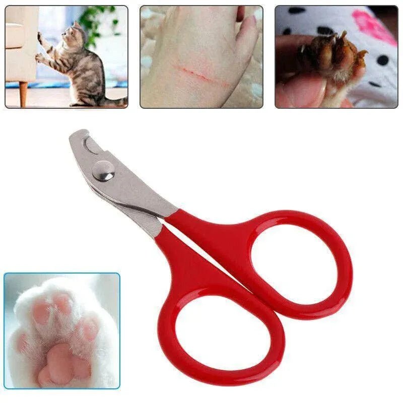 Pet Nail Grooming Scissors - Coco & Harley - Pet Care > Cleaning & Maintenance > Pet Grooming Supplies - V528-PETMINISCISSORS-513025