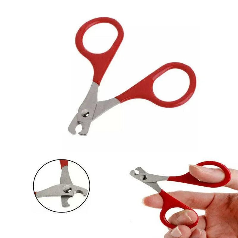 Pet Nail Grooming Scissors - Coco & Harley - Pet Care > Cleaning & Maintenance > Pet Grooming Supplies - V528-PETMINISCISSORS-513025