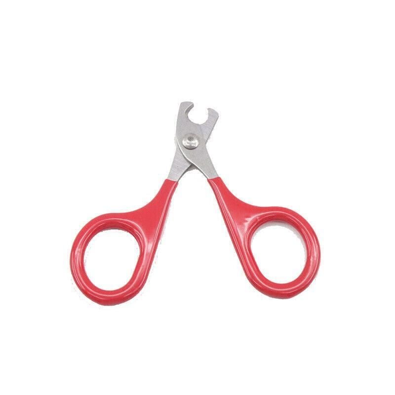 Pet Nail Grooming Scissors - Coco & Harley - Pet Care > Cleaning & Maintenance > Pet Grooming Supplies - V528-PETMINISCISSORS-513025