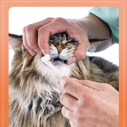 Pet Toothbrush & Toothpaste Set - Vanilla Flavour - Coco & Harley - Pet Care > Cleaning & Maintenance > Pet Grooming Supplies - V528-PETTOOTHPASTE-ORANG-60016