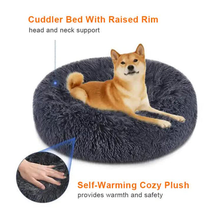 Dog lying on a gray cuddler bed with raised rim and self-warming cozy plush features.
