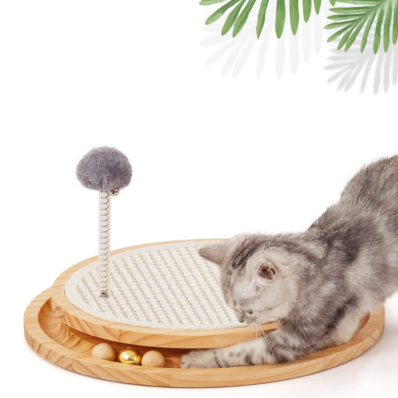 Cat playing with a wooden cat toy with a ball on a white background