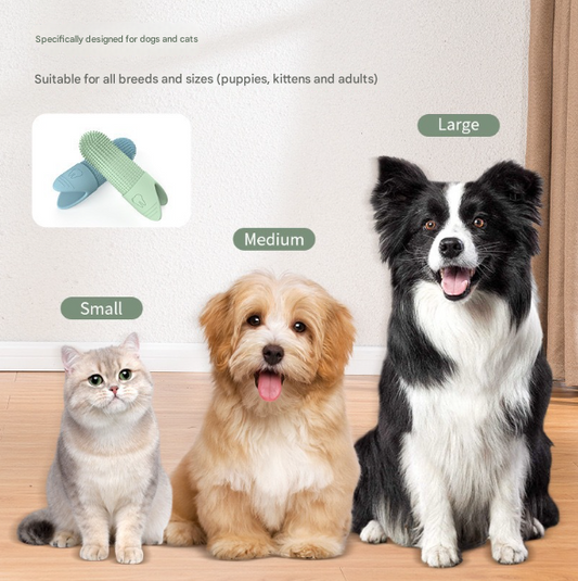 Three dogs and a cat sitting on a wooden floor with pet finger toothbrushes displayed.