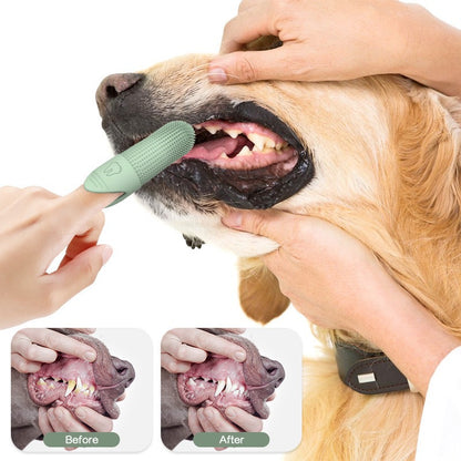 Dog being examined with a dental tool, showing before and after images of its teeth.