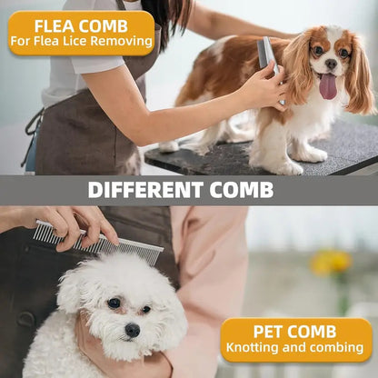 Person grooming a dog with a comb and another person petting a white dog with a different comb.