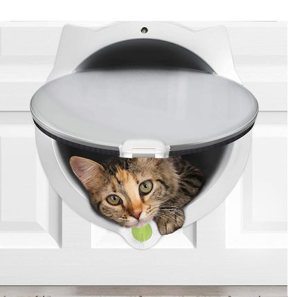 Cat peeking out from a white pet door with a green lock mechanism.