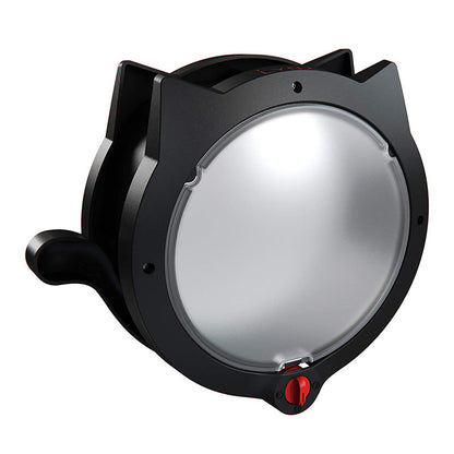 Black cat door on a white background