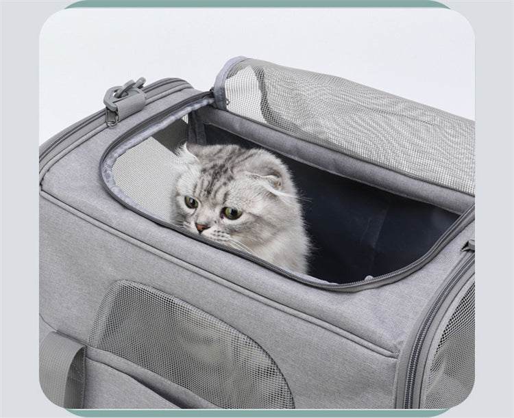 Foldable Soft-Sided Pet Carrier for Travel - Fits Cats & Small Dogs Under 6kg, with Removable Plush Bed & Shoulder Strap(black)