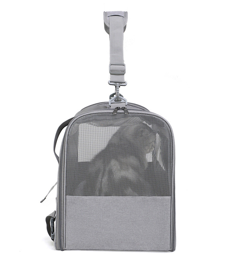 Foldable Soft-Sided Pet Carrier for Travel - Fits Cats & Small Dogs Under 6kg, with Removable Plush Bed & Shoulder Strap(black)