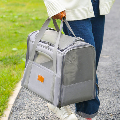 Person holding a grey pet carrier with a cat inside, walking outdoors.