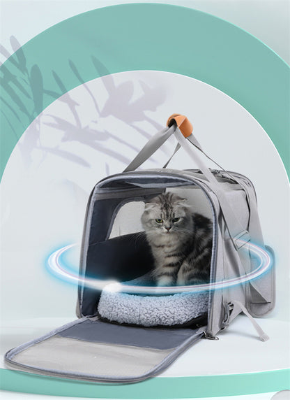 Cat in a grey pet carrier with a light blue background