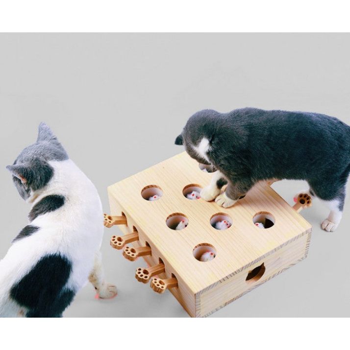 Whack - A - Mole Interactive Cat Toy - Coco & Harley - Pet Care > Toys > Cat Toys - V888-ELOSUNG41750