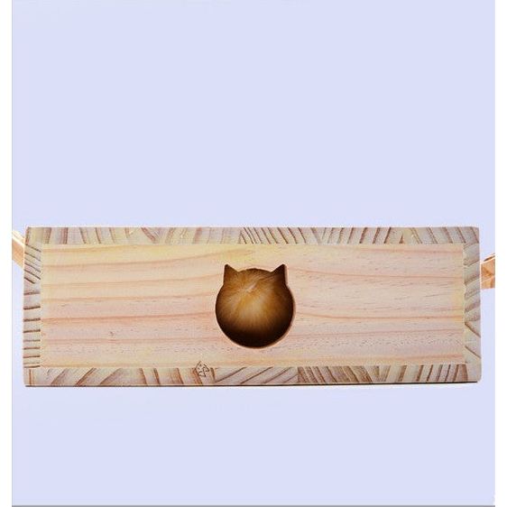 Whack - A - Mole Interactive Cat Toy - Coco & Harley - Pet Care > Toys > Cat Toys - V888-ELOSUNG41750