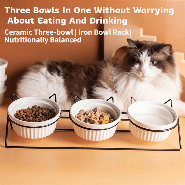 Triple Slanted Ceramic Pet Feeding Station - Coco & Harley - Pet Care > Cat Supplies > Cat Bowls, Feeders & Waterers - V888-ELOSUNG49880