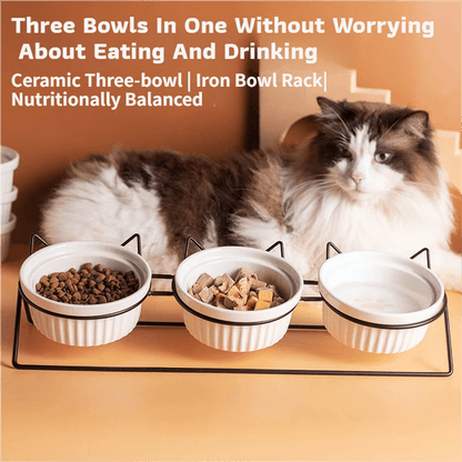 Triple Slanted Ceramic Pet Feeding Station - Coco & Harley - Pet Care > Cat Supplies > Cat Bowls, Feeders & Waterers - V888-ELOSUNG49880