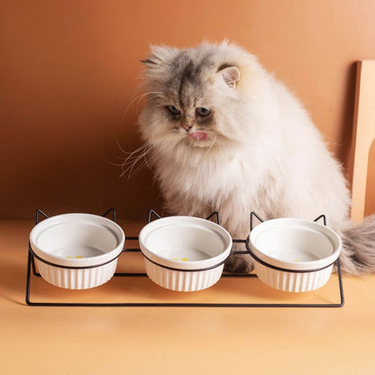 Triple Slanted Ceramic Pet Feeding Station - Coco & Harley - Pet Care > Cat Supplies > Cat Bowls, Feeders & Waterers - V888-ELOSUNG49880