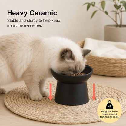 A cream-colored cat eating from a black ceramic elevated pet bowl placed on a woven round mat in a softly styled indoor setting. Text highlights the heavy ceramic base and weighted design, with red arrows pointing down to the bowl and a yellow callout emphasizing spill prevention.